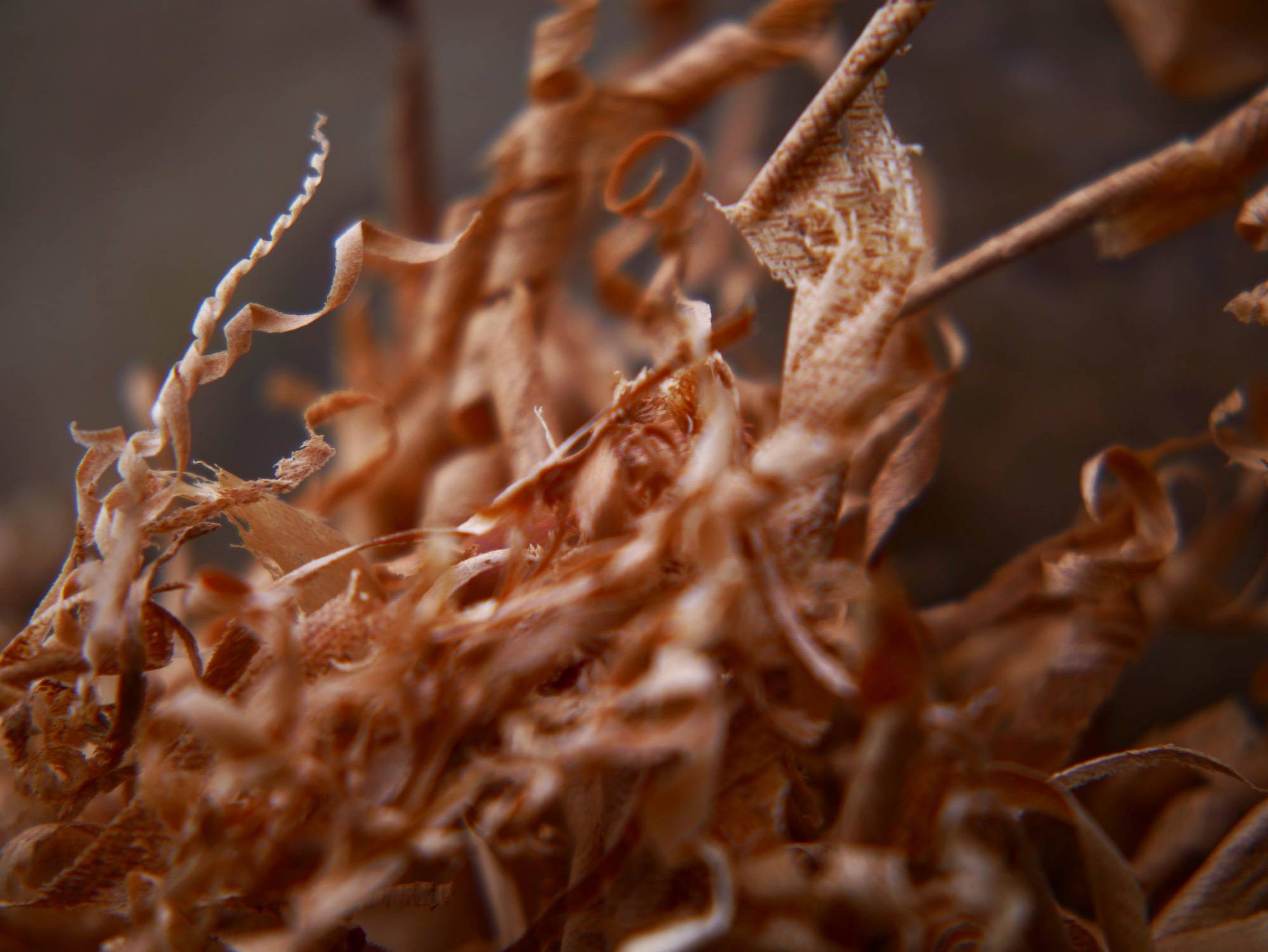 Kobernuß_HolzObjekte_Vase_Eichenholzverbessert_ji_ji