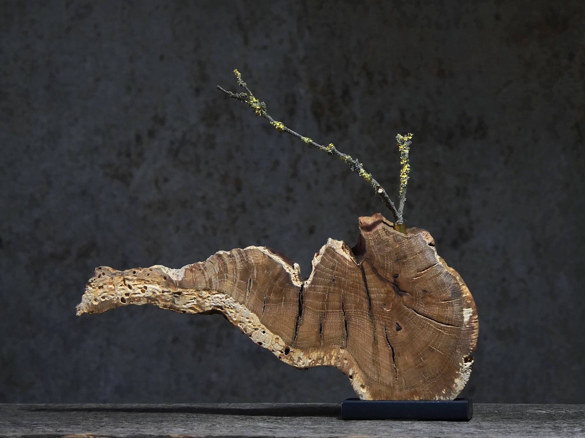 Kobernuß_HolzObjekte_Vase_Eichenholzverbessert_ji_ji