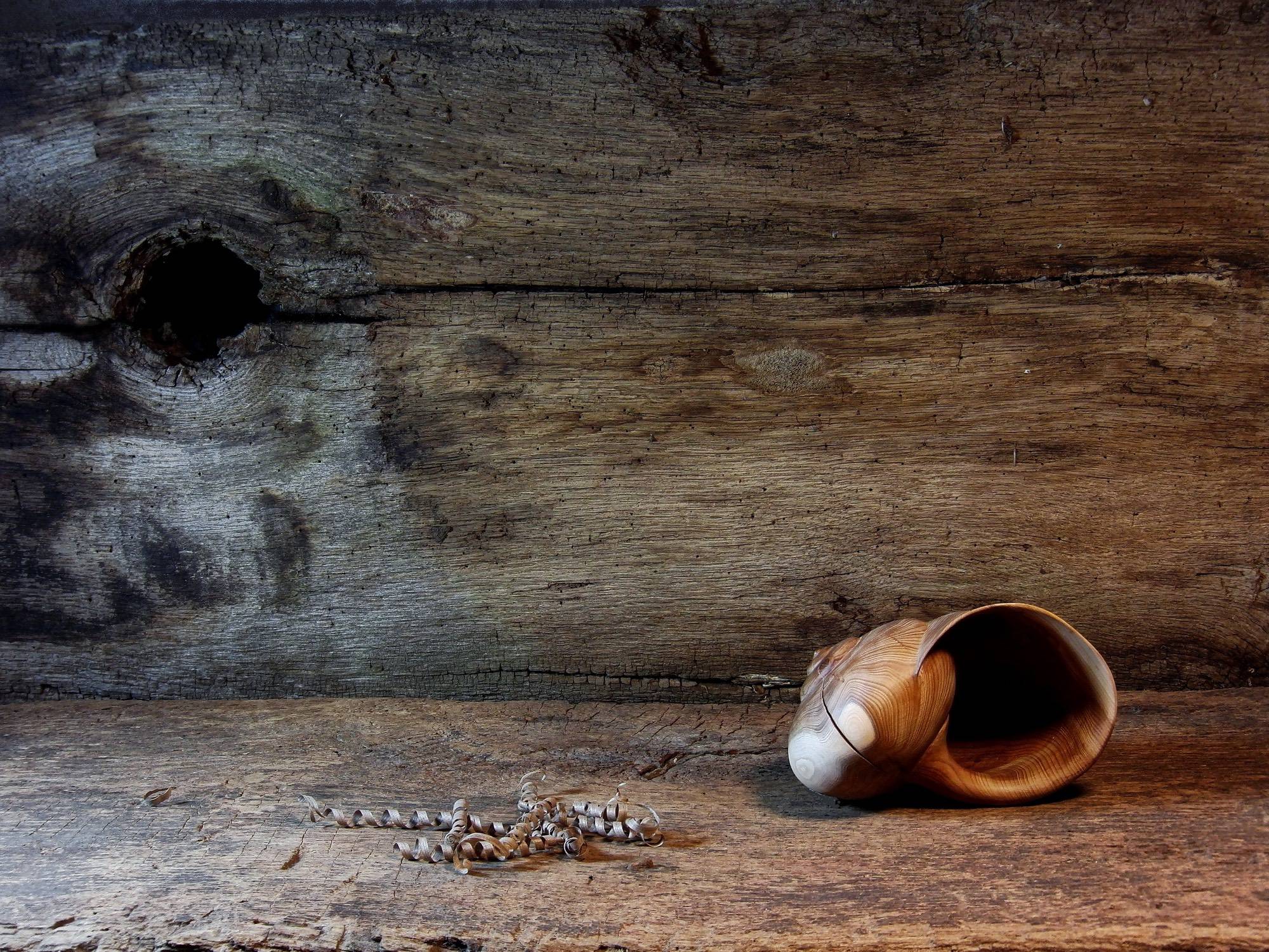 Neetzendorf%20Kobernuß%20Wolf%203_ji