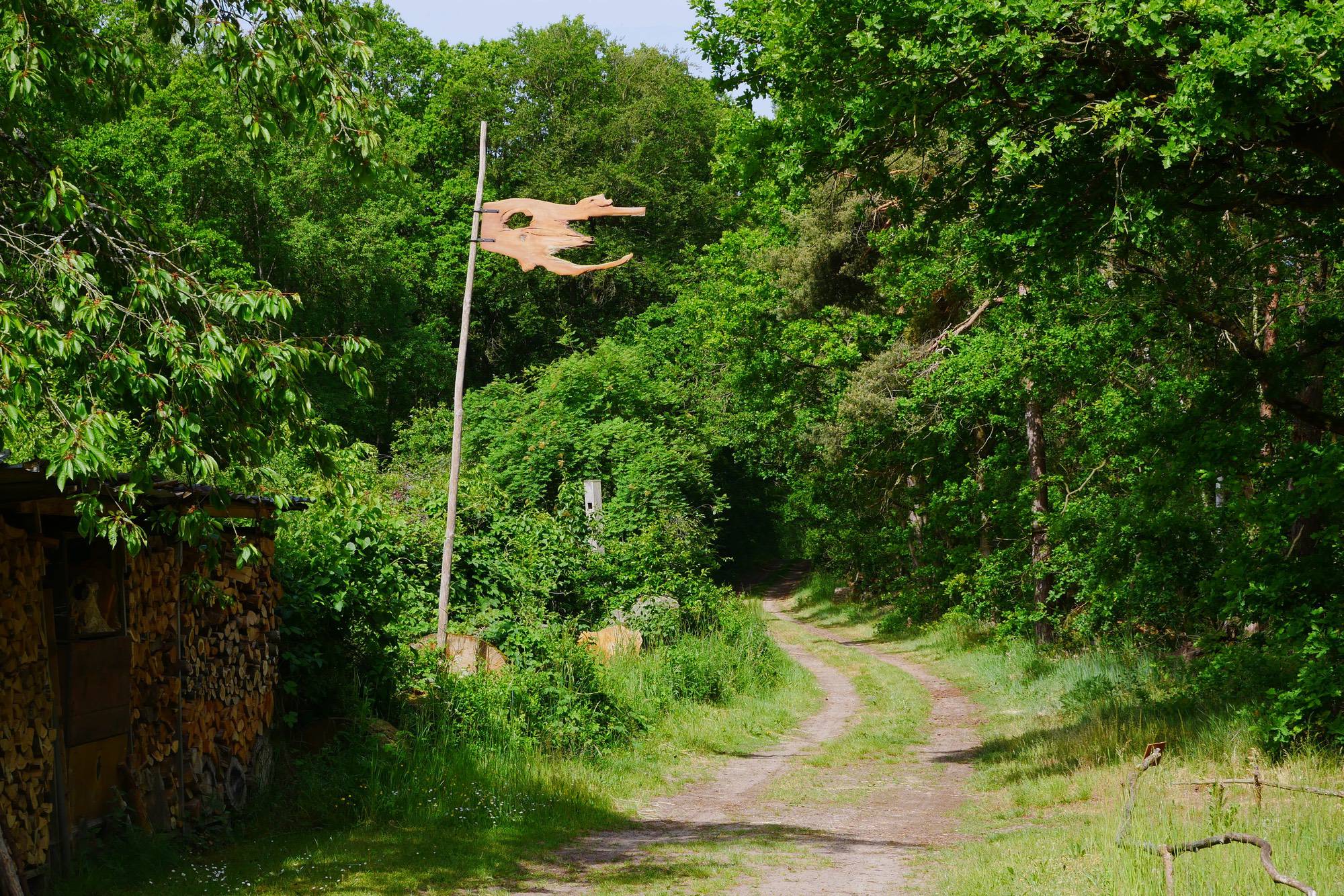 P1240040_jiverbessert